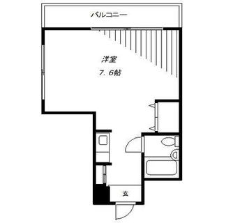 東京都豊島区南長崎１丁目 賃貸マンション 1R